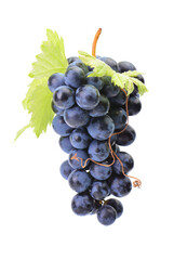 Wall Mural - Grapes isolated on white