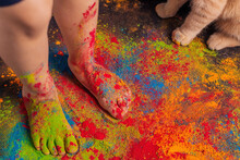 Children's Feet Strewn With Multi-colored Bright Holi Colors And Cat Paws Nearby, Copy Space. Indian Festival Of Colors Holi.