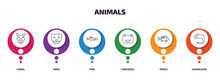 Animals Infographic Element With Outline Icons And 6 Step Or Option. Animals Icons Such As Camel, Mink, Pike, Crocodile, Perch, Chameleon Vector.