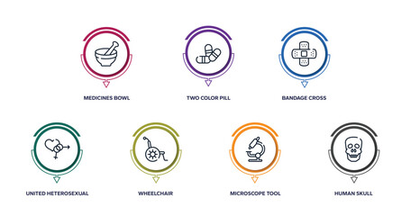 in the hospital outline icons with infographic template. thin line icons such as medicines bowl, two color pill, bandage cross, united heterosexual, wheelchair, microscope tool, human skull vector.