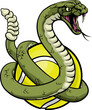 A rattlesnake snake with a tennis ball sports team animal cartoon mascot