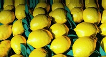 A Lot Of Lemons Citrus Close-up Scrolling Backdrop