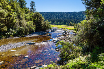 Canvas Print -  Stream with colored glandular water