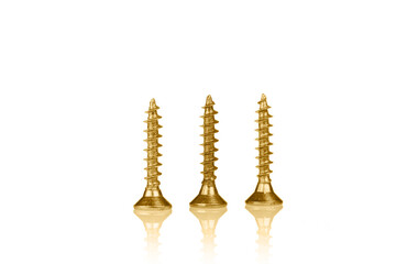 macro screw of golden color on a white background