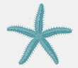 Spiny starfish marthasterias glacialis, sea star from eastern Atlantic Ocean