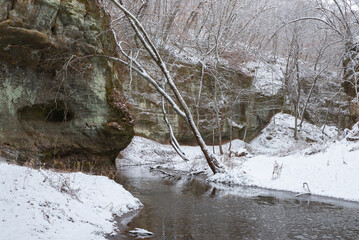 Wall Mural - Lower Dells.