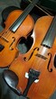 © Tomasz Obara - two violins large and small