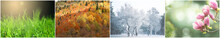 Four Seasons. Collage Design With Beautiful Photos Of Nature
