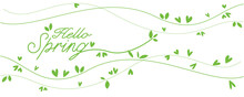 Spring Green Leaves Background. Hello Spring Lettering And Green Leaves Decoration Illustration. Simple Spring Botanical Illustration For Seasonal Promotion, Event, Background And Graphic Design.