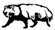 tanuki raccoon dog vector illustration isolated on white