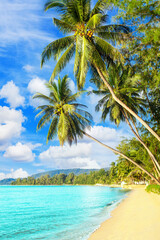 Wall Mural - Beautiful tropical island sea beach landscape, turquoise ocean water, yellow sand, sun blue sky white cloud, green coconut palm tree leaves, paradise nature, summer holidays, vacation, tourism, travel