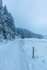 Schöne Winterlandschaft auf den Höhen des Thüringer Waldes bei Oberhof - Thüringen - Deutschland