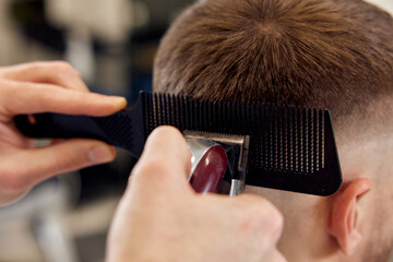 Wall Mural - hairdresser does haircut for caucasian bearded man