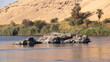 Nile river tour views in Egypt