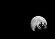 © Cavan Images - Rising Moon