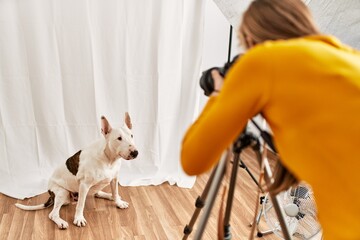 Poster - Young caucasian woman photographer making photo to dog at photography studio