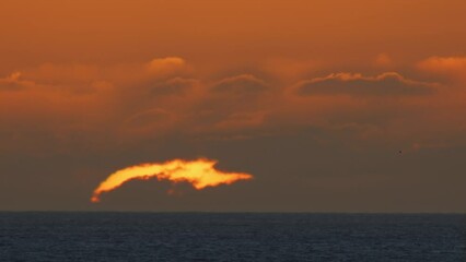 Wall Mural - beautiful evening sunset with big sun in the atlantic ocean at portugal coast.