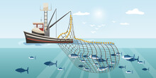 Commercial Fishing Ship With Full Fish Big Net. Cartoon Fishing Boat Working In Sea Or Ocean Catching By Seine Seafood Tuna, Herring, Sardine, Salmon. Industry Vessel In Seascape. Vector Illustration