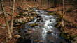 Stream in the forest on an overcast winter day at Stokes State Forest New Jersey