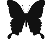 Karner Blue Butterfly - Black And Dark