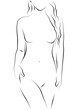 © robert - beautiful line drawing of female form minimalist .