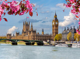 Fototapeta Londyn - Houses of Parliament (Westminster palace) and Big Ben tower in spring, London, UK