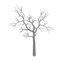 Poster - dry dead tree silhouette