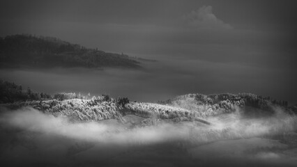 Wall Mural - Morning view of the waking landscape