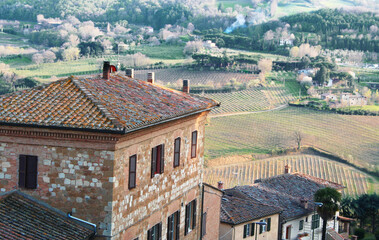 Wall Mural - Italy. Tuscany. Montepulciano