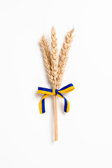 Wall Mural - Bundle of wheat spikes with yellow and blue ribbon in colors of Ukrainian flag isolated on white. Concept of food supply crisis and global food scarcity because of war in Ukraine