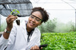 African American Plant Genetic Expert researcher holding young Plant for research with other species vegetables in organic farm. Good quality products. Scientist in greenhouse.