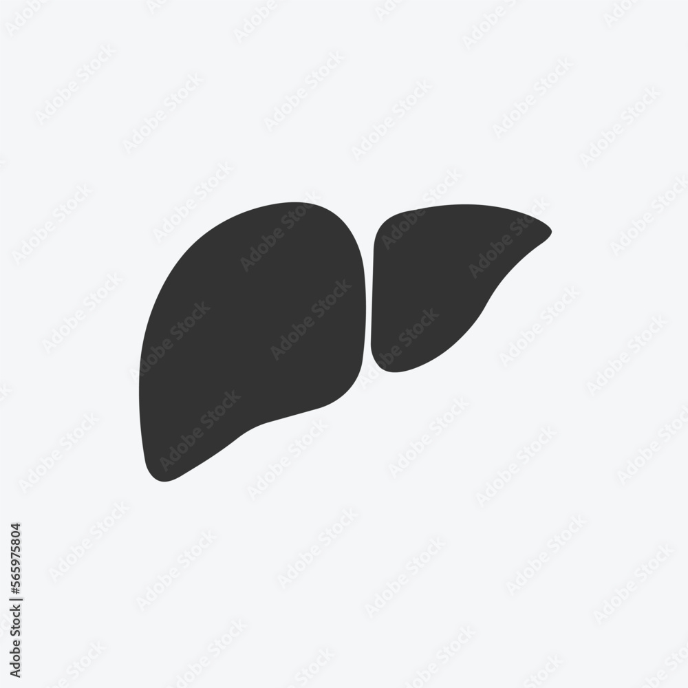 Liver icon in trendy flat style isolated on white background. Human ...