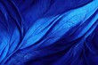 royal blue abstract wallpaper, wavy background, abstract illustration 