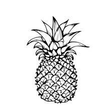 Pineapple In Cartoon Black And White Style For Coloring. Vector Illustration