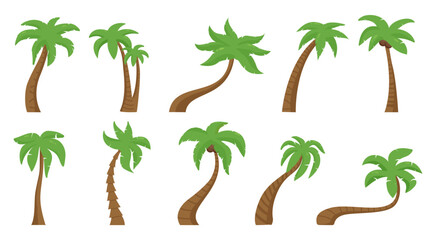 Tropical palms, green floral palm tree. Exotic hawaiian nature, summer beach plant. Outdoor botany flora, summertime season