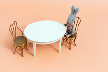 Kids Toys. Set Of Toy Furniture Table With Chairs. Little Bunny Drinks Tea. High Quality Photo