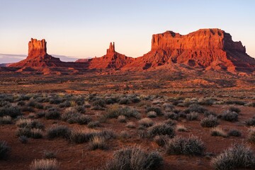 Sticker - First Light in the Desert 