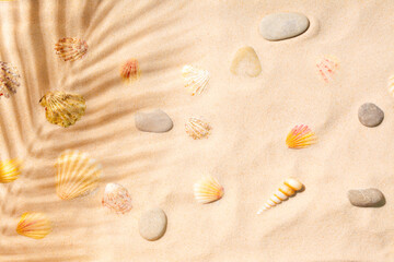 Sandy beach with sea shells and palm leaf shadow