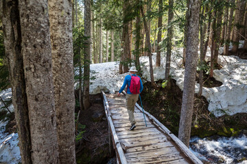 Sticker - Hike in the forest