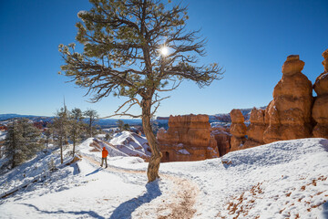 Wall Mural - Hike in winter Bryce