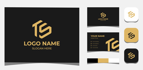 Template Logo Creative Initial T and S Luxury and gold concept. Creative Template with color pallet, visual branding, business card and icon.