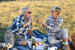 © pucko_ns - Two senior couple sitting on blanket full of food and dring vine in nature and feed each other