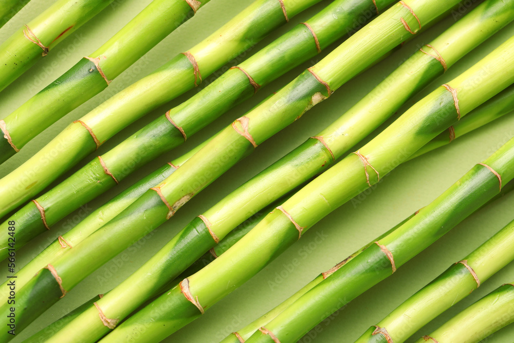 Green bamboo stems on color background, closeup
