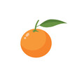 An orange icon, orange flat design on a white background. Orange with a green leaf.