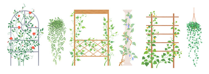 Vector climbing plants frame and creeper stand