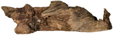 Piece Of A Root / Trunk With Many Thin Branches, River Wood, Driftwood, Aquarium Design Element - Isolated On Transparent Background - Png - Image Compositing Footage - Alpha Channel 