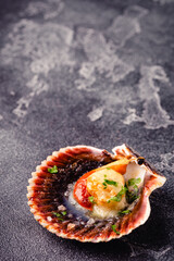 Wall Mural - Cooked scallops with parsley