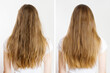 © ladyalex - Closeup before-after unhealthy messy hair and clean brush healthy hairtype isolated on white background. Woman problem hair-type back view. Spit ends dry over-brushing hairstyle. Beauty care concept