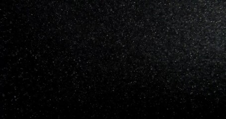 Wall Mural - Dust particles overlay on black screen. Filmed with RED camera in slow motion. Abstract background. High quality 4k footage