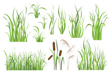 Cane And Reed Plant Set Graphic Elements In Flat Design. Bundle Of Green Grass Of Sedge, Cattail, Swamp Herbs, Other Marsh Grass For Wetland Landscape Decoration. Vector Illustration Isolated Objects